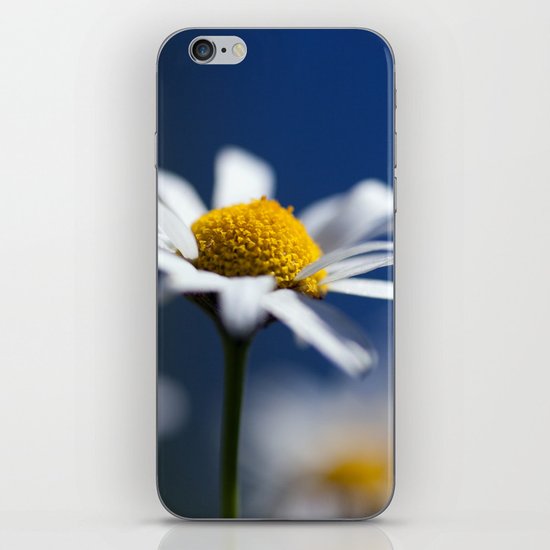 Marguerite Daisy3609 iPhone & iPod Skin
