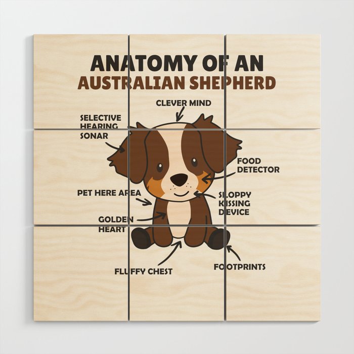 Anatomy Of An Australian Shepherd Sweet Dogs Wood Wall Art