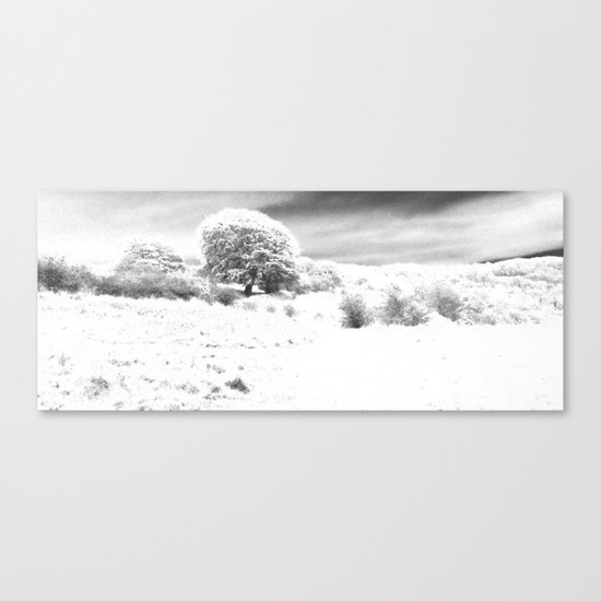 Haresfield In The Snow Canvas Print