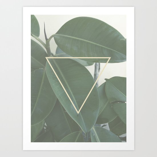 ficus nature Art Print