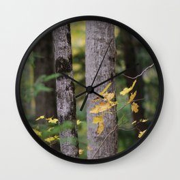 Don't miss the forest  Wall Clock