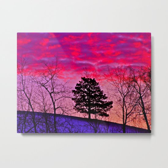 Winter's Sky Metal Print