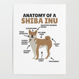 Anatomy Of A Shiba Inu Dog Funny Puppy Poster