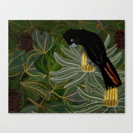 Red Tailed Black Cockatoo 2023 Canvas Print
