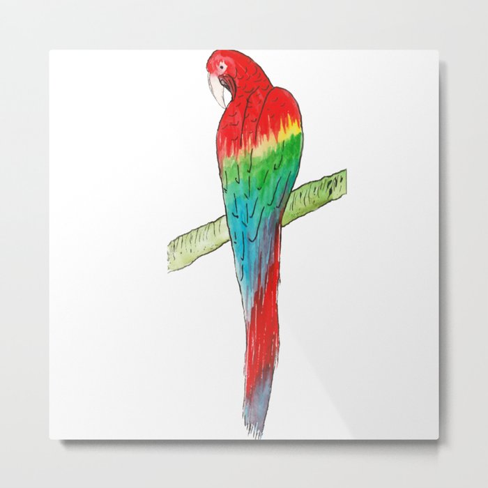 Scarlet Macaw Parrot Posing Metal Print