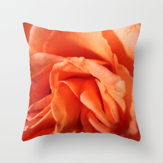 Rosa Vieja Throw Pillow