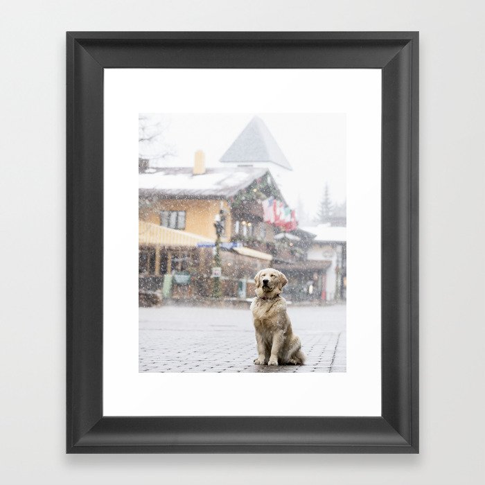Golden Retriever Puppy in Snowy Vail Village Colorado Framed Art Print