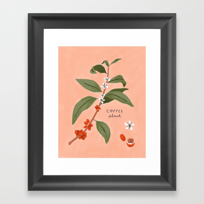 Coffee Plant Framed Art Print