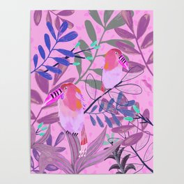 Tropic Toucan Birds Poster