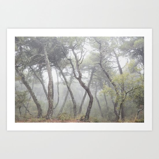 "Forest dance". Into the foggy woods... Art Print