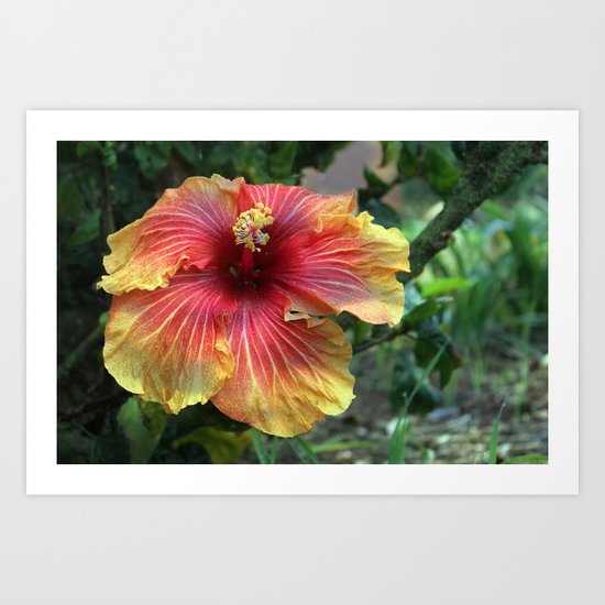 Joy in the Garden Art Print