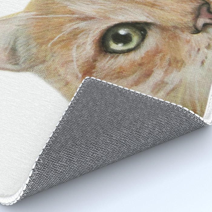 Golden British Shorthair America Shorthair Cat Acrylic