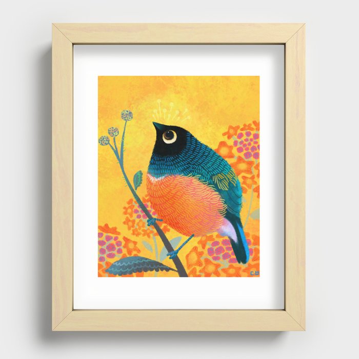 Superb Starling Recessed Framed Print