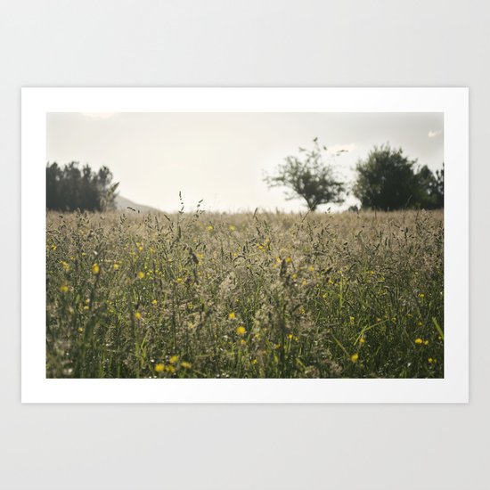 paisaje Art Print