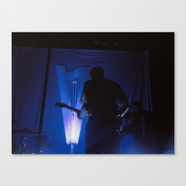 Lauv on stage Canvas Print