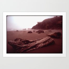CALIFORNIA MOONSTONE BEACH NARA 542886 Art Print