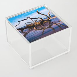 Driftwood Acrylic Box