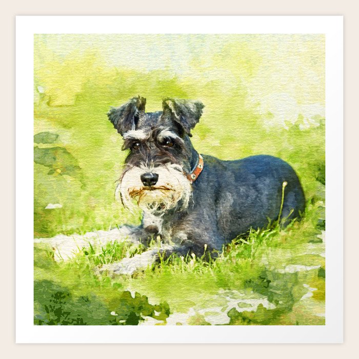mini schnauzer art