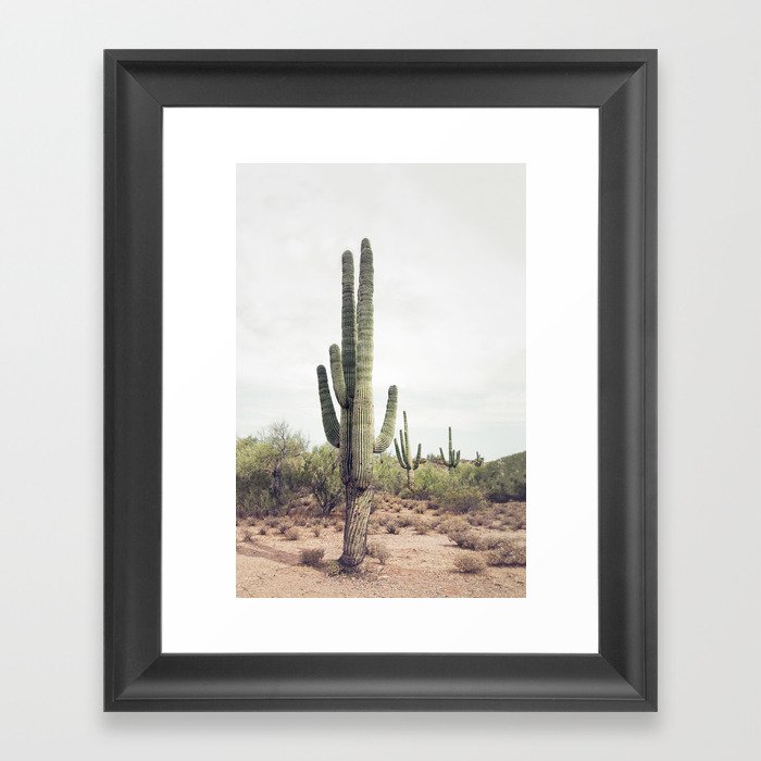 Desert Cactus Gerahmter Kunstdruck