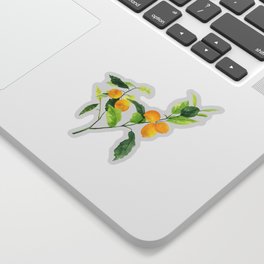 Lemon Branch Watercolor  Sticker