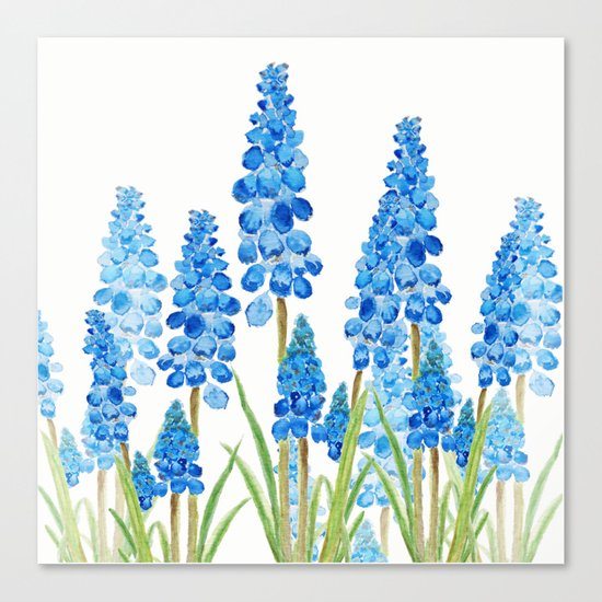 blue grape hyacinth forest Canvas Print