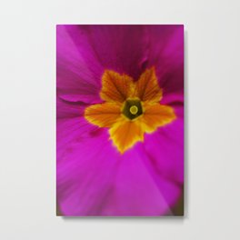 Aprils garden Metal Print | Pinkandyellow, Aprilsgarden, Color, Photo, Digital, Pink, Pinkandorange, Summercolours, Macroflower, Softfocus 