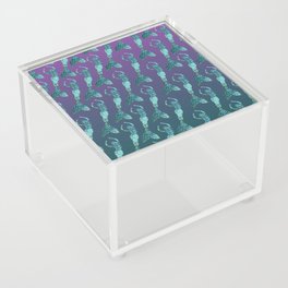 Mermaid Shoal Acrylic Box