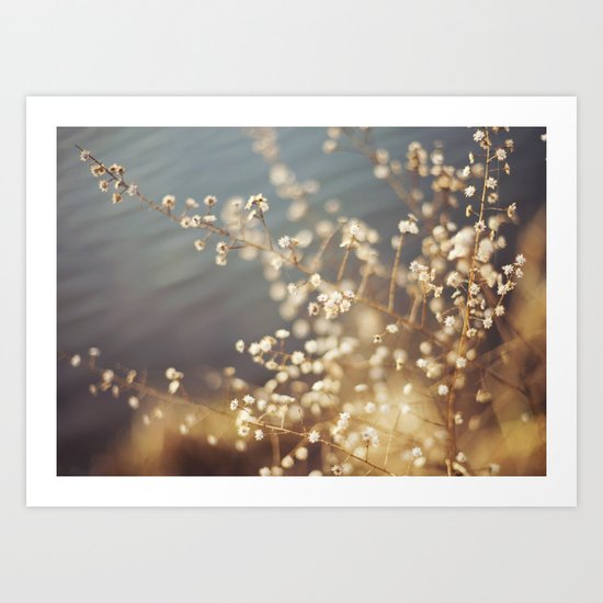 winter weeds Art Print