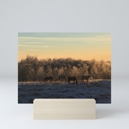 Horses at dawn Mini Art Print