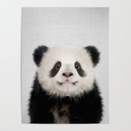 Panda Bear - Colorful Poster