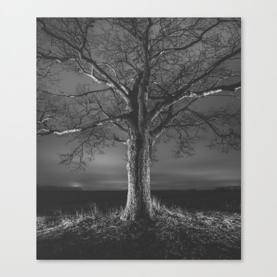 Painted in Night Canvas Print