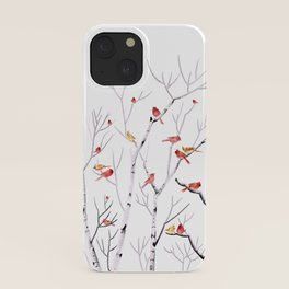 birch case