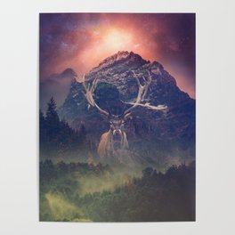 Spirit of the Forest Poster