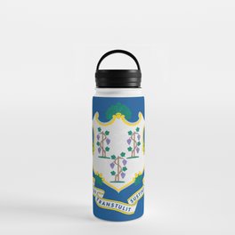 Connecticut Flag Banner American State Flags Standard New England Iconography CT Water Bottle