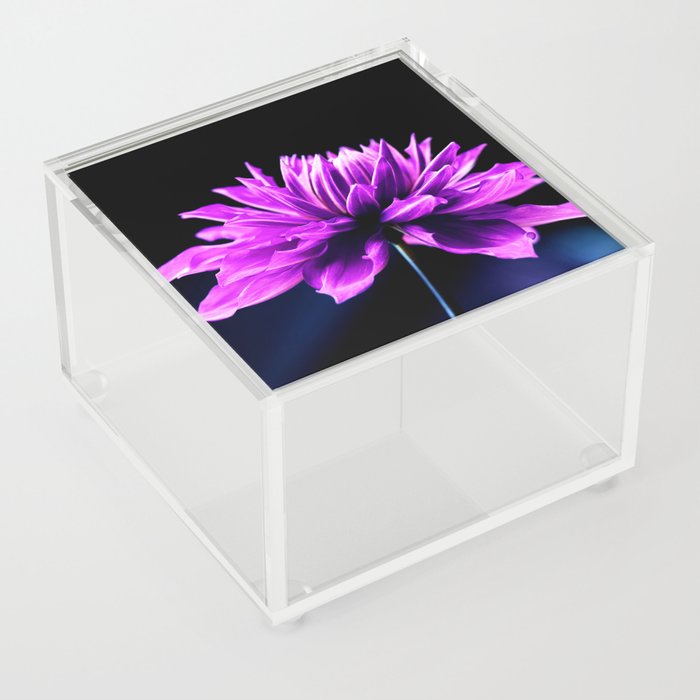 Purple Love Dahlia Acrylic Box