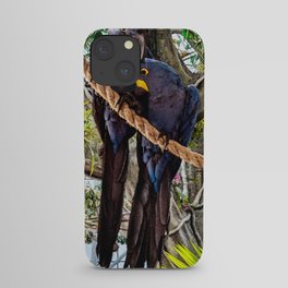 Hyacinth Macaws iPhone Case