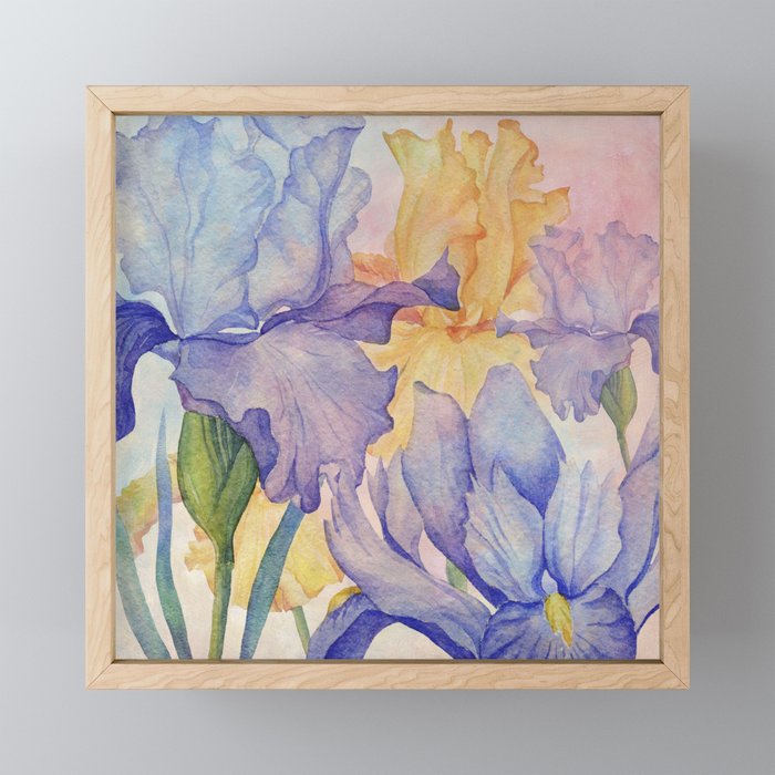 Angel Iris - Delight Framed Mini Art Print
