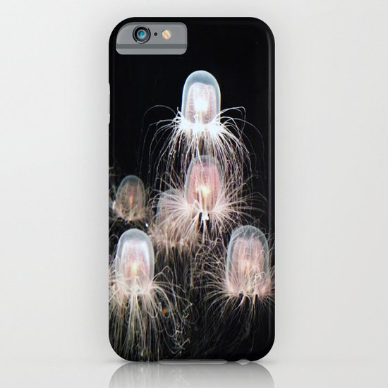 Jellyfish iPhone & iPod Case