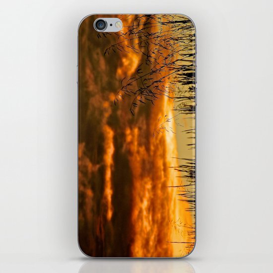 Goodbye Daylight iPhone & iPod Skin