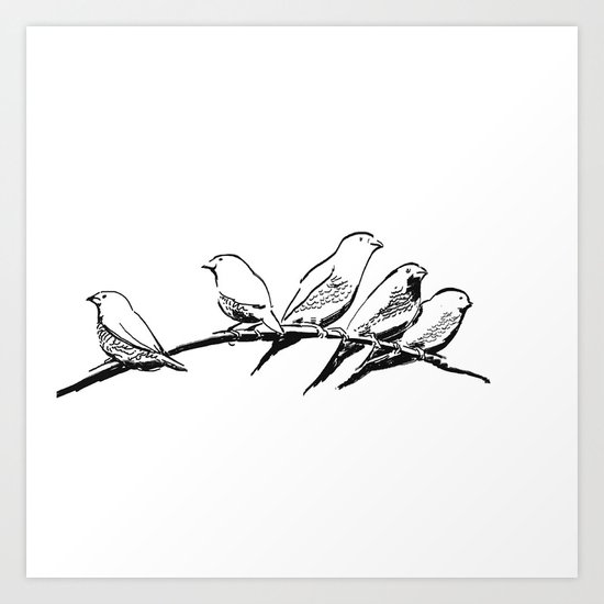 Birds Art Print