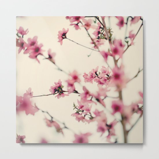 Sakura Metal Print