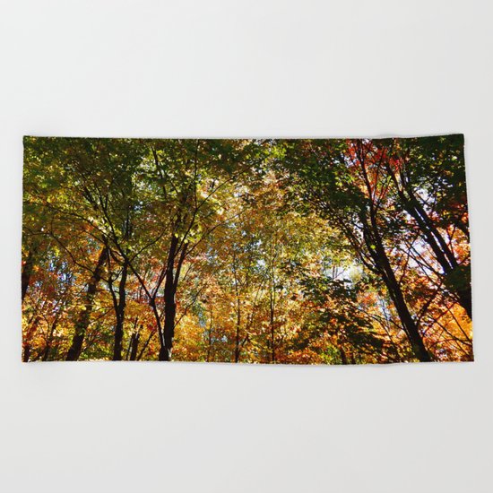 Through the Trees in October Beach Towel