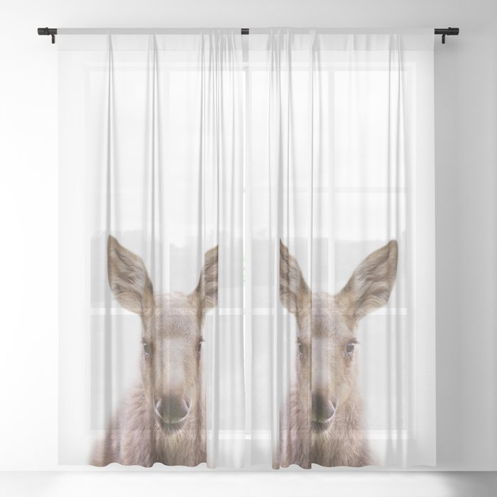 Sheer Curtain