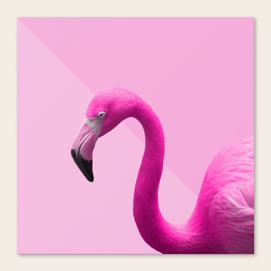 FLAMINGO 2 Canvas Print