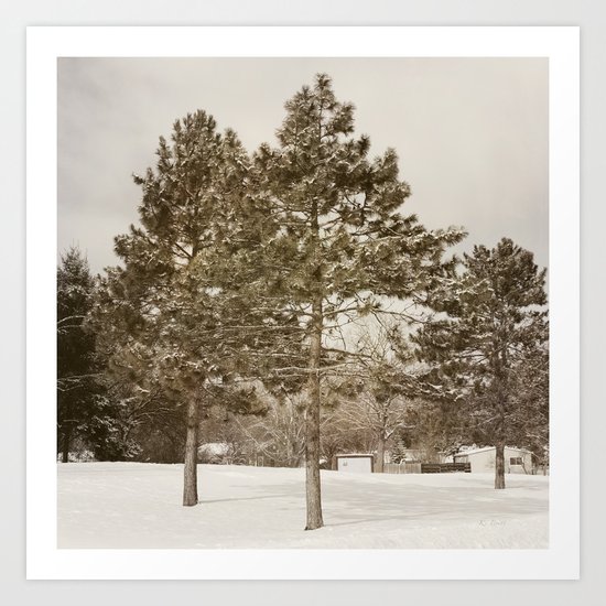 The Pines Art Print