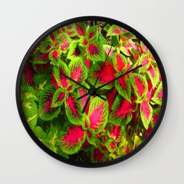 Pink Green Coleus Tropical Wall Clock | Photo, Landscape, Nature, Pattern 
