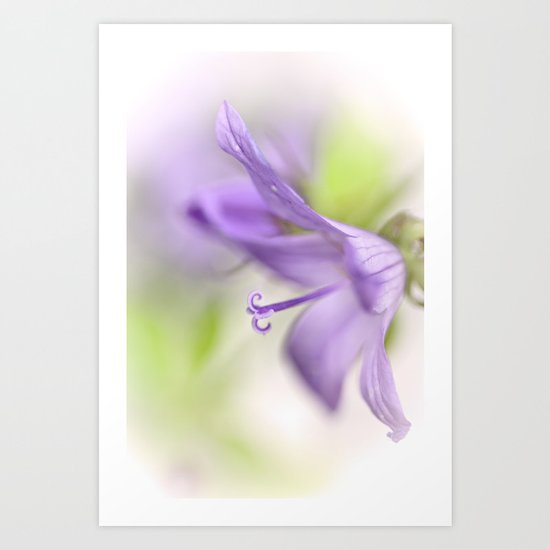 Dreamy flowers... Art Print