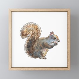 Adorable Squirrel Eating Nut Watercolor by Irina Sztukowski Framed Mini Art Print