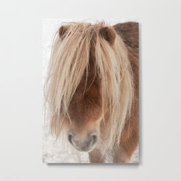Pony in the snow - winter, horses nature photography Metal Print