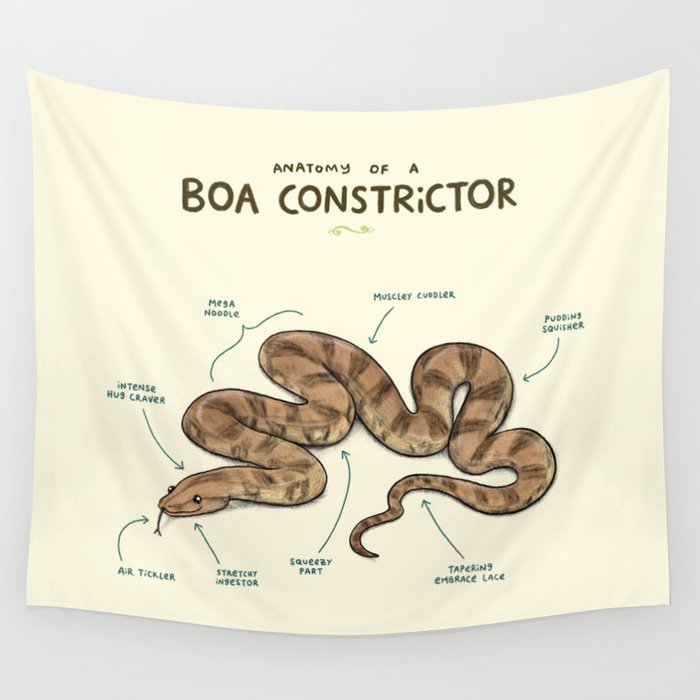 Anatomy of a Boa Constrictor Wall Tapestry